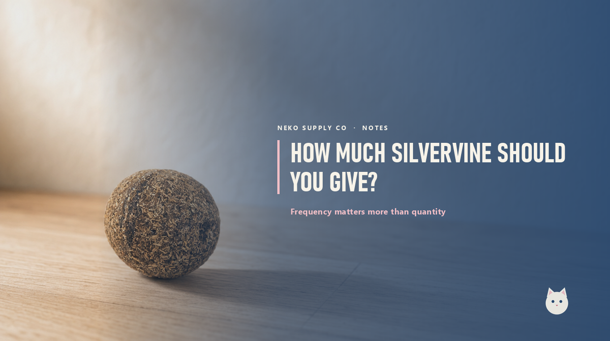 How much silvervine should you give a cat?