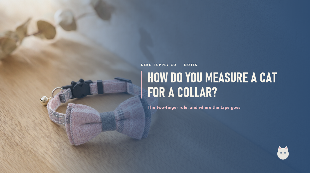 How do you measure a cat for a collar?