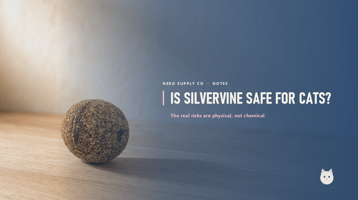 Is silvervine safe for cats?