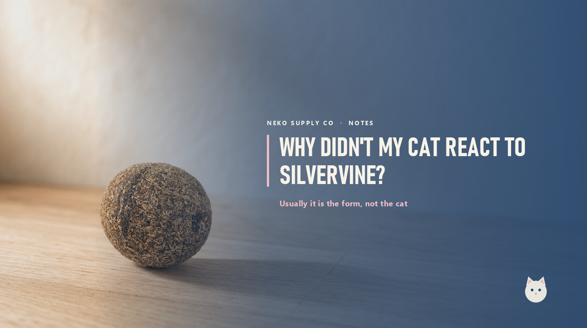 Why didn't my cat react to silvervine?