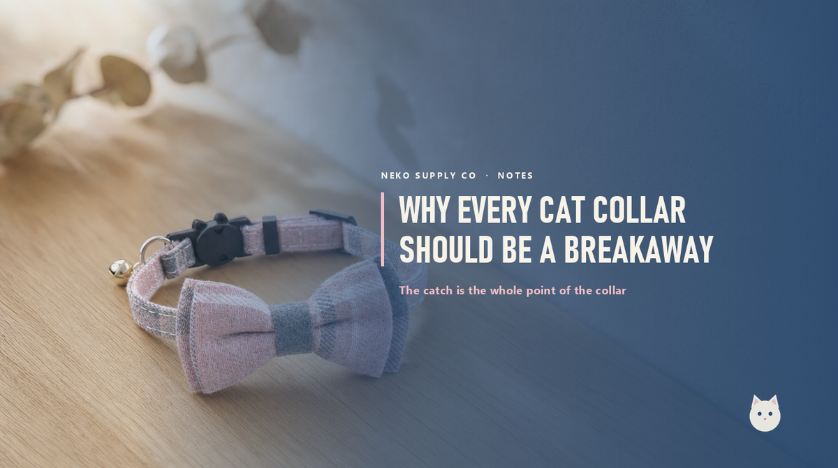 Why every cat collar should be a breakaway collar