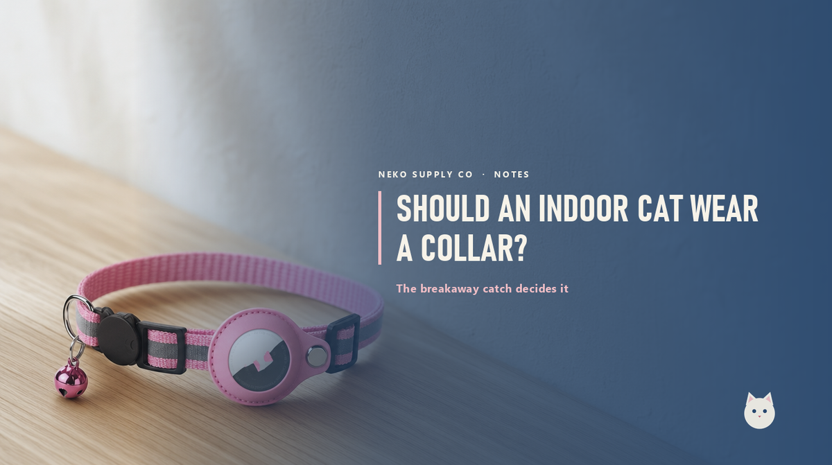 Should an indoor cat wear a collar?