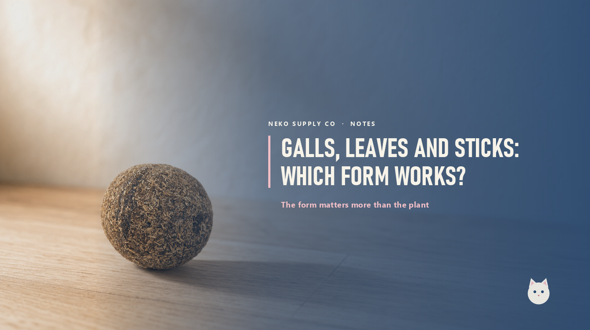 Silvervine galls, leaves and sticks: which form actually works?
