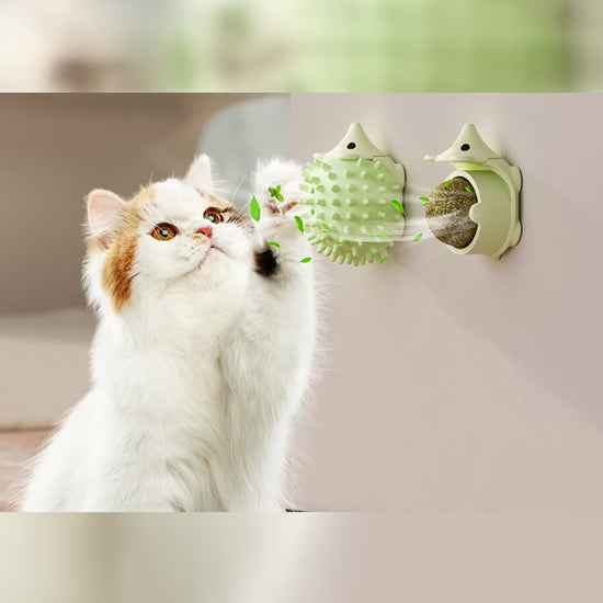 Hedgehog-shaped cat self-groomer mounted flush to a wall with a cat cheek-rubbing the soft spikes, shown in green, blue, and coffee with the silvervine ball.